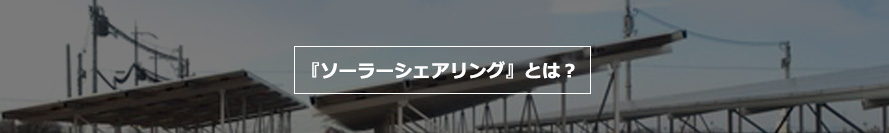 『ソーラーシェアリング』とは？